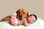 CUTE_ANIMALS_AND_BABIES