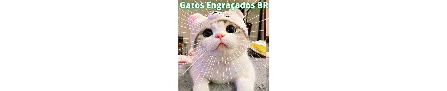 GatosEngracadosBR