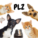 Pet Lovers Zone
