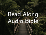 Read Along Audio Bible