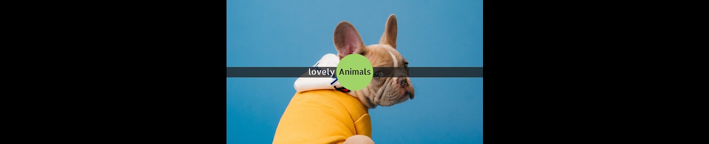 lovley & cute animals