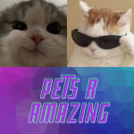 PetsareAmazing