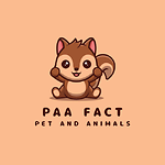 Pets and Animals