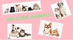 WELCOME ANIMALS