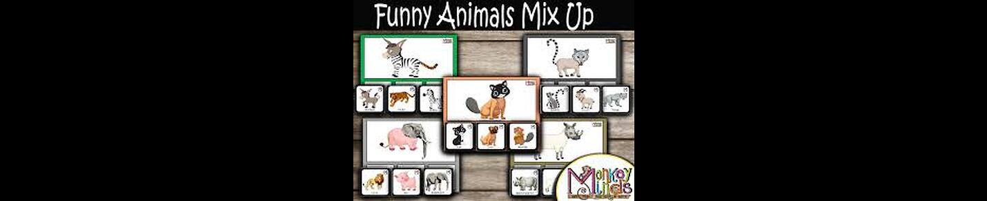 Funny Animal Mix videos