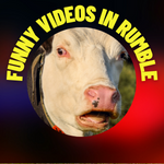 Funny videos in Rumble