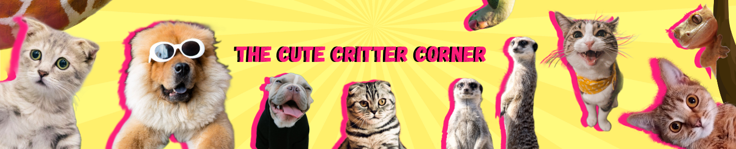 TheCuteCritterCorner