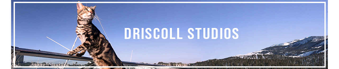 Driscoll Studios