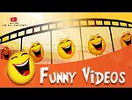 Comedy and funny videos