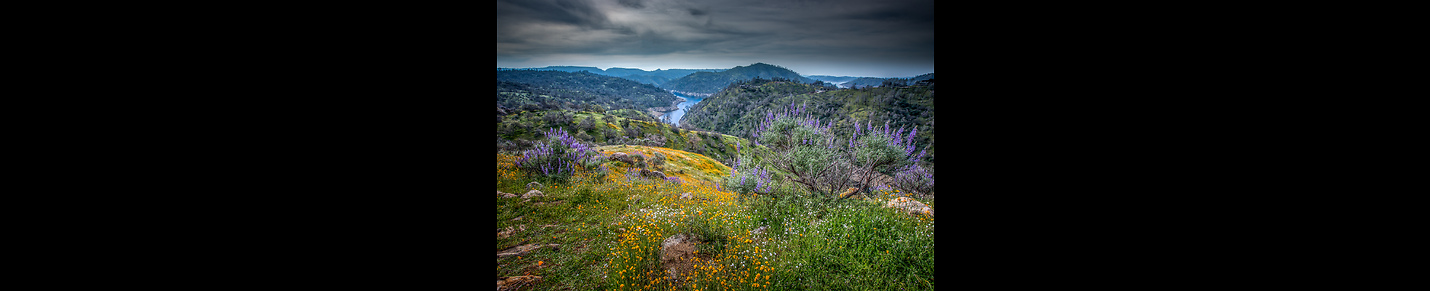 Eyes On Butte County, CA