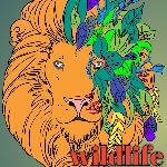 Wildlife animals