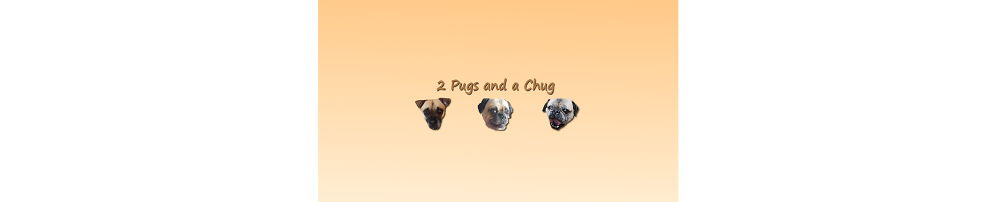 2 Pugs and a chug