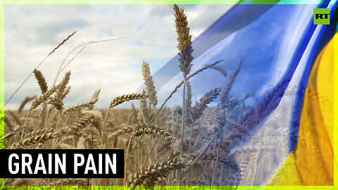 EU urges Ukraine to ‘understand’ EU farmers, send grain to third parties
