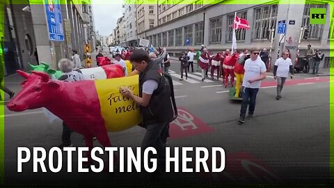 Cows roll through Brussels to demand 'fair' milk prices