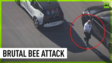 Gang of bees attacks LAPD volunteer