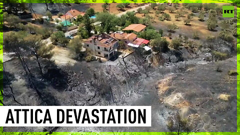 Wildfires bring devastation to Attica