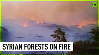 Violent wildfires destroy woods & farmland in Syria