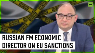 ‘We recognize them as hostile acts’ - Russian FM economic director on the EU’s sanctions 5th wave