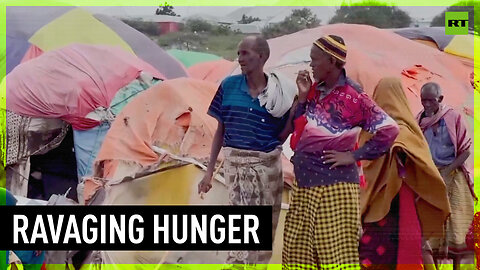 Sahel hit by hunger