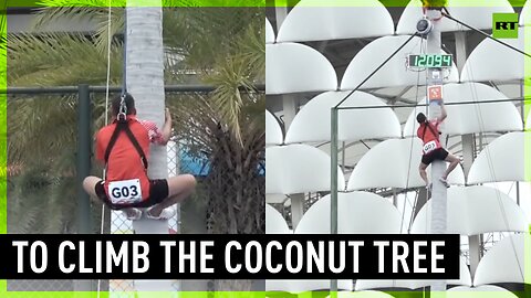 Coconut tree climbing contest takes place in China's Hainan province