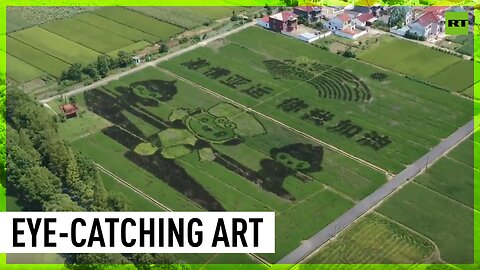 Chinese farmers pay paddy art tribute to 19th Asian Games