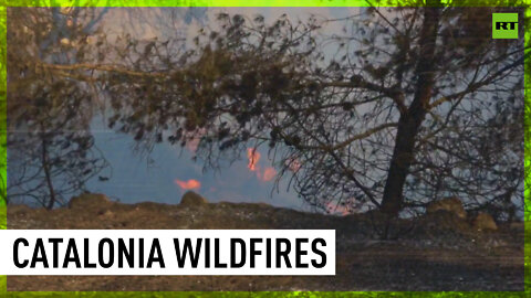 Catalonia battles wildfires