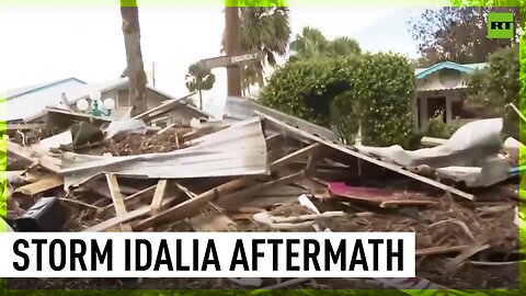 Hurricane Idalia batters Florida's Big Bend