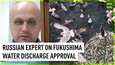 'Additional monitoring of seafood will be mandatory' – Russian expert on Japan's nuclear waste plan