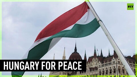 Hungary calls for immediate ceasefire in Ukraine