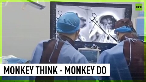 Mind control robot arm for monkeys finally invented