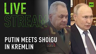 President Putin meets Defense Minister Shoigu in Kremlin