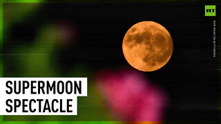Mesmerizing: Full ‘buck moon’ illuminates sky over Buenos Aires