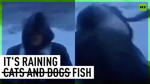 Very Norwegian storm | Flying fish hits weatherman in the face