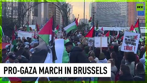 Gaza supporters march through Brussels