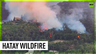 Blaze engulfs forest in Türkiye’s Hatay Province