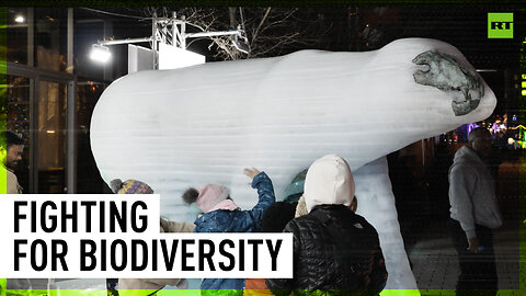 Canadian activists raise biodiversity awareness by melting polar bear ice sculpture