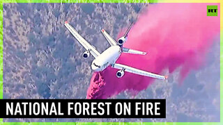 California’s National Forest engulfed by flames