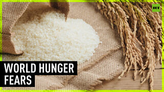 India prioritizes own food security by banning rice exports worldwide