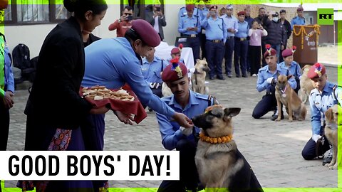Kathmandu police canine unit performs on 'Day of the Dogs'