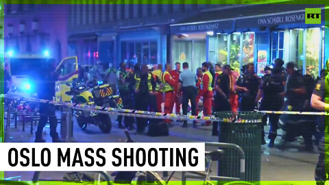 Two killed, 19 injured in Oslo mass shooting