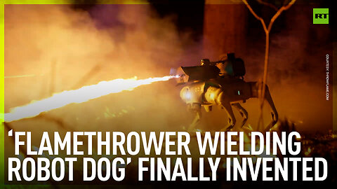 ‘Flamethrower wielding robot dog’ now on sale