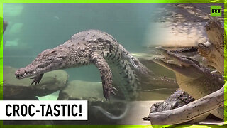 First Crocodile Park opens in Dubai with 250 reptiles