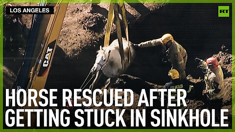 Horse rescued after getting stuck in sinkhole