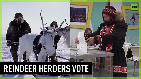 Russian reindeer herders vote in presidential election
