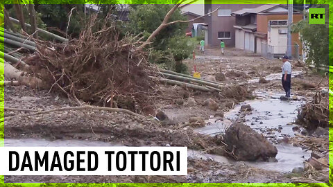 Typhoon Lan leaves trail of destruction in Japan