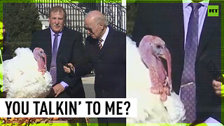 Biden lets turkey ‘have a word’