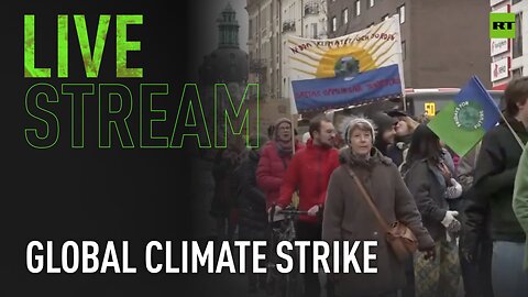 Fridays for Future rally for global climate strike