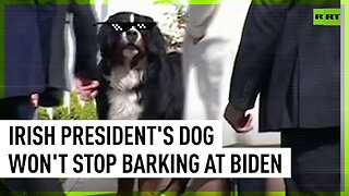 Irish President’s dog won’t stop barking at Biden