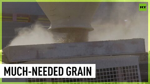 Free Russian grain reaches Mozambique, awaiting final distribution in Zimbabwe