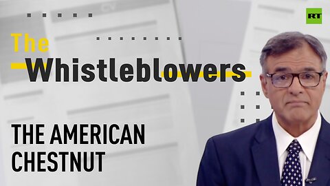 The Whistleblowers | The strange death of the American chestnut